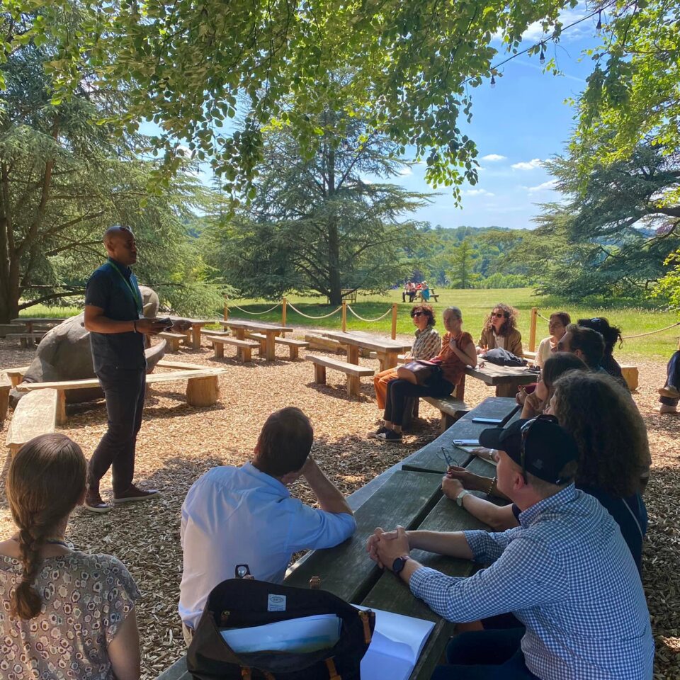 Group meeting outside under a tree on a sunny day