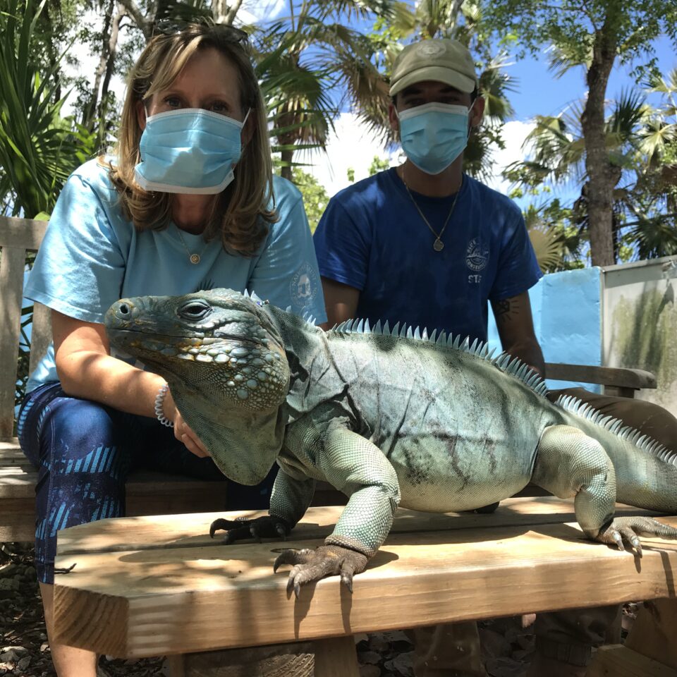 National Trust for the Cayman Islands sit with Blue Iguana.