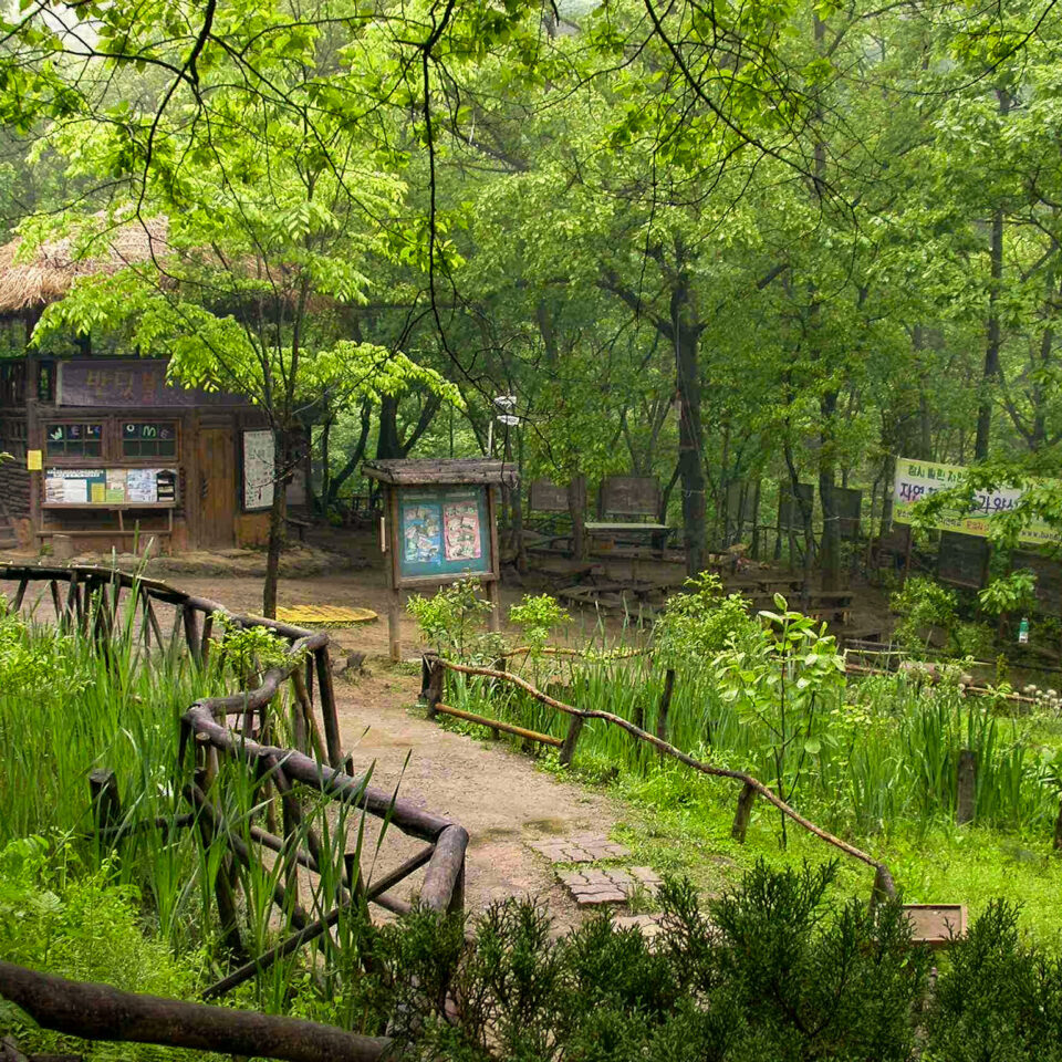 Maengsan Firefly Nature School in Korea - available to visit with INTO Places