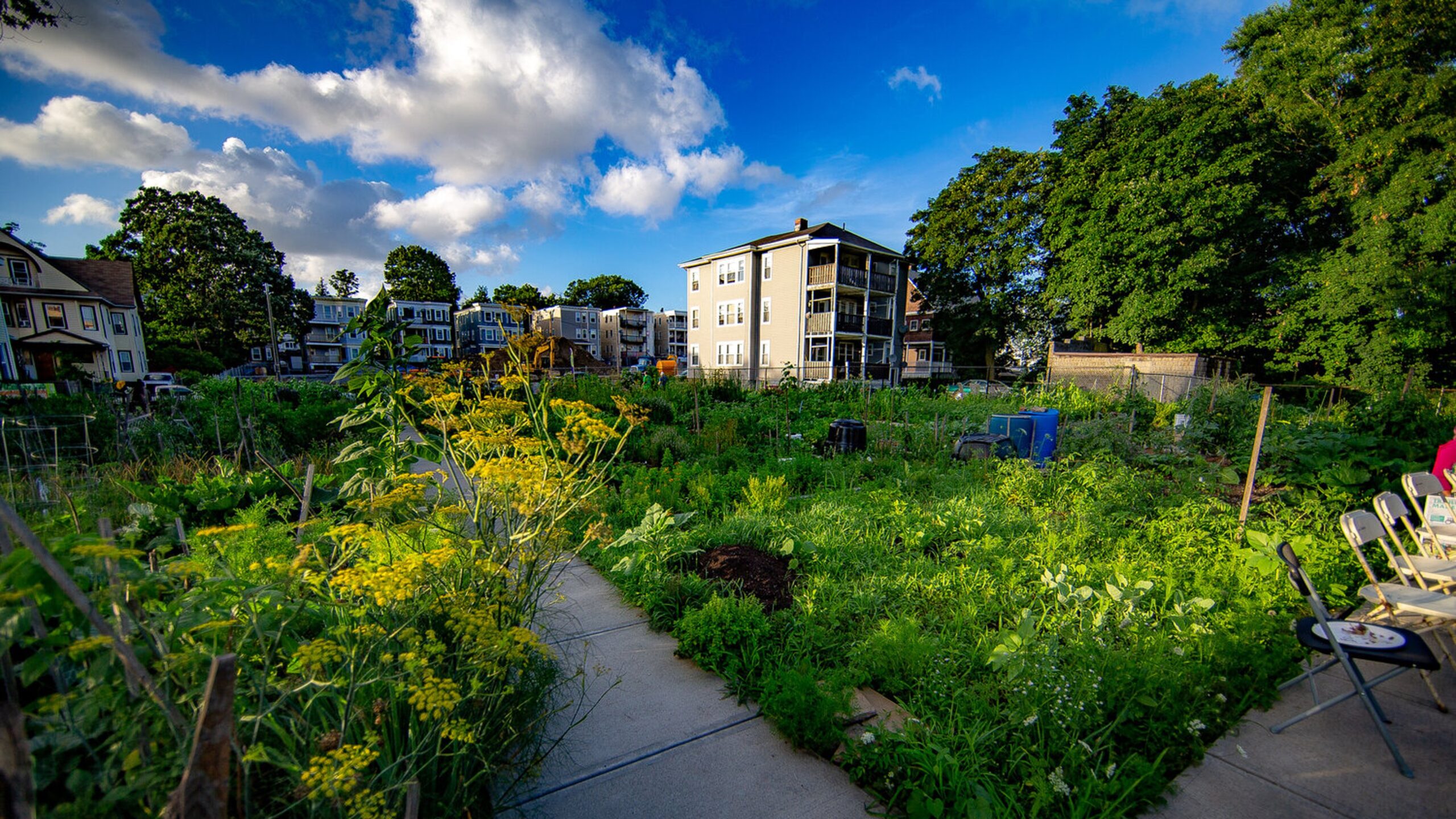 Boston Community Gardens