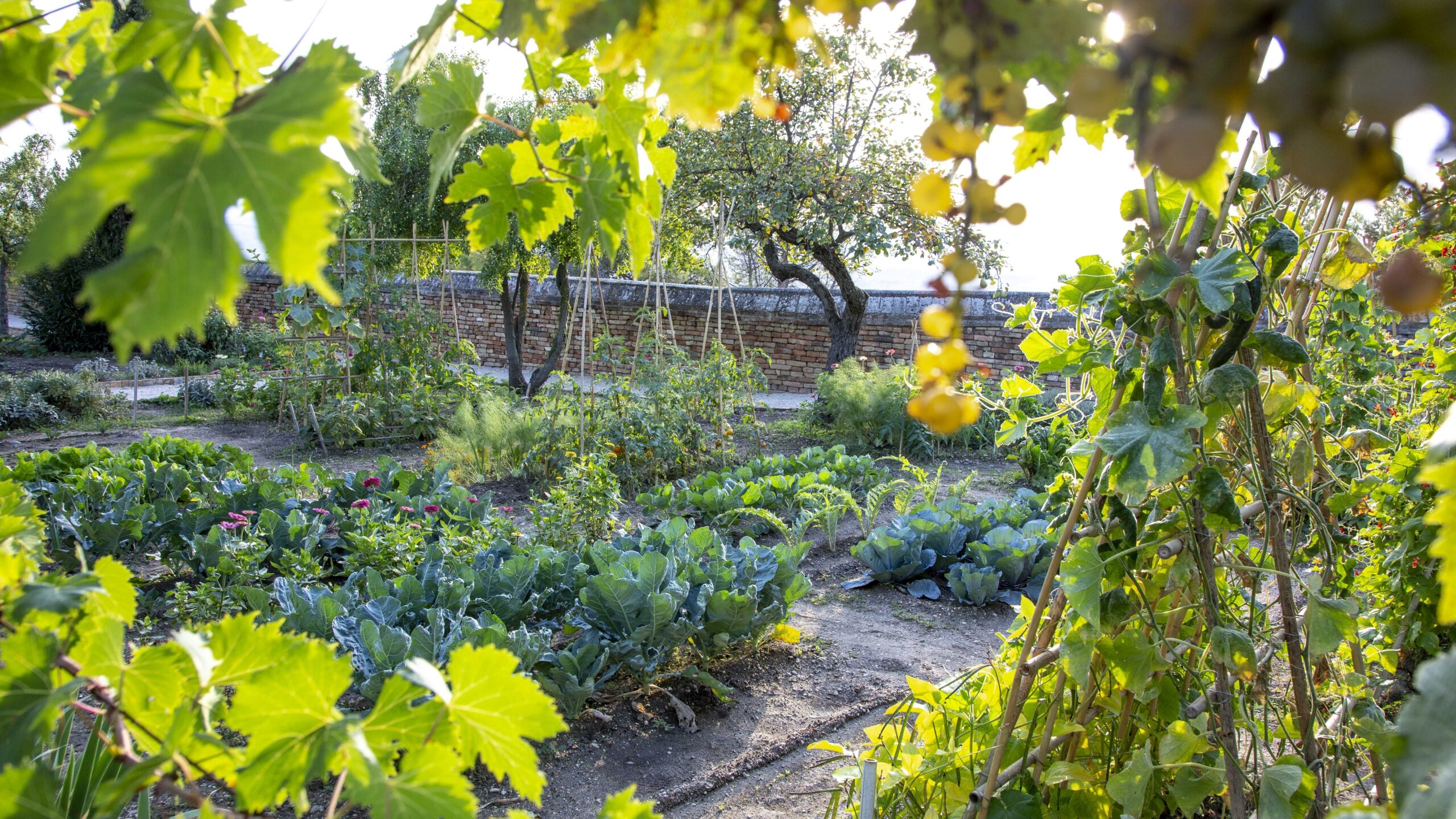 Kitchen garden at Colle dell'Infinito