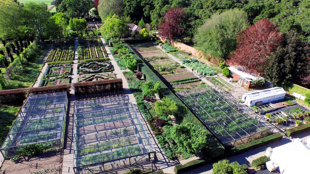 Filoli's new kitchen garden