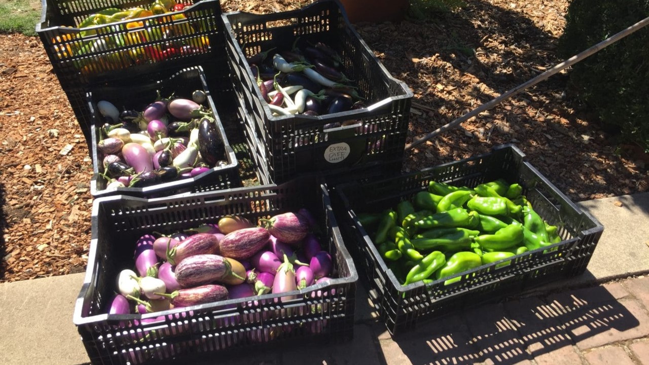 Filoli donation to food bank