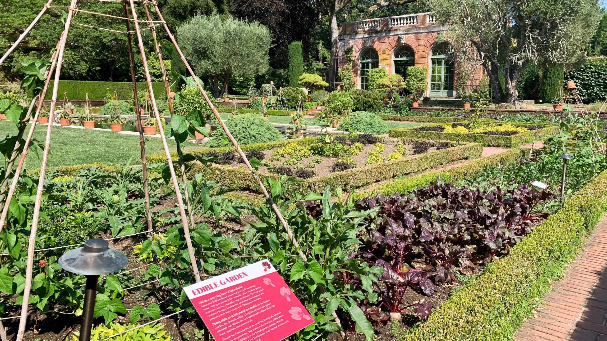 Filoli's edible garden