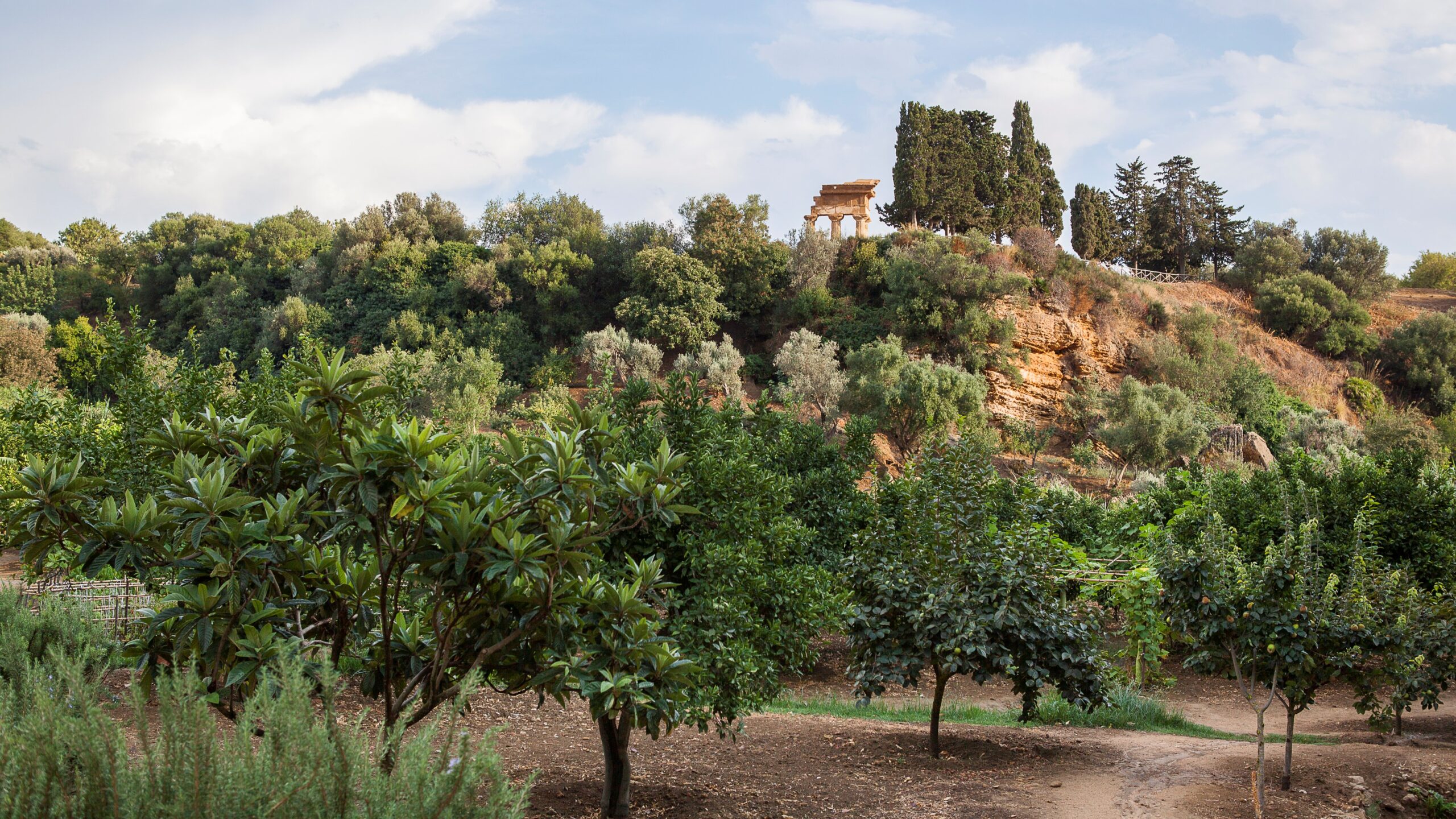 Gardens at Kolymbethra