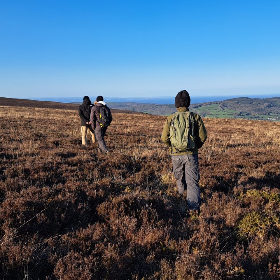 Rangers on Exmoor