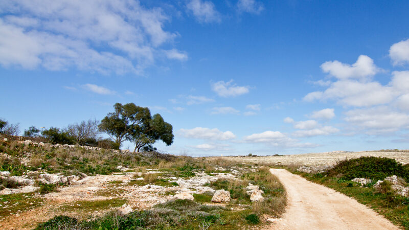 a pathway through a dry sandy landscape with blue sky
