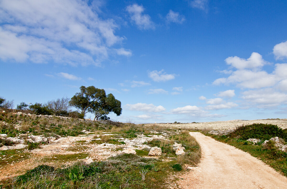 a pathway through a dry sandy landscape with blue sky