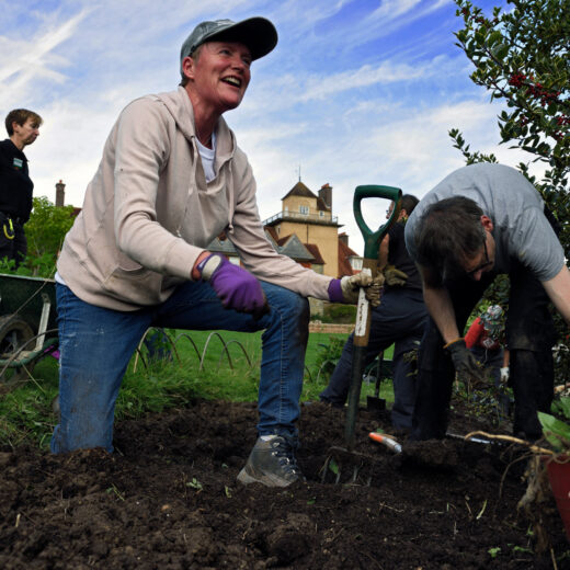 Volunteers gardening