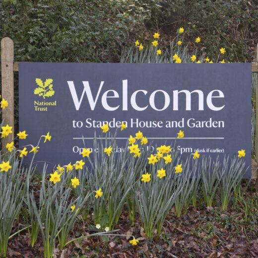 welcome sign among daffodils