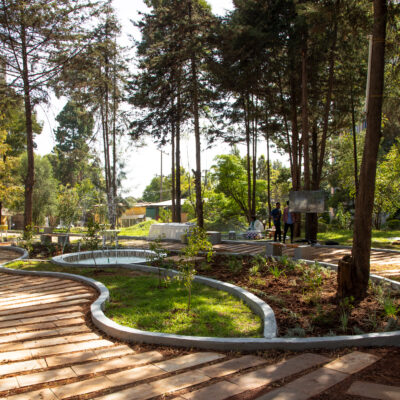 a garden with tall trees and curved pathways
