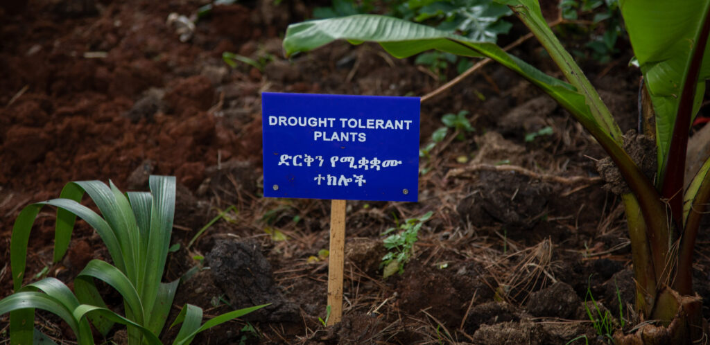 a blue sign with text which read drought tolerant plants 