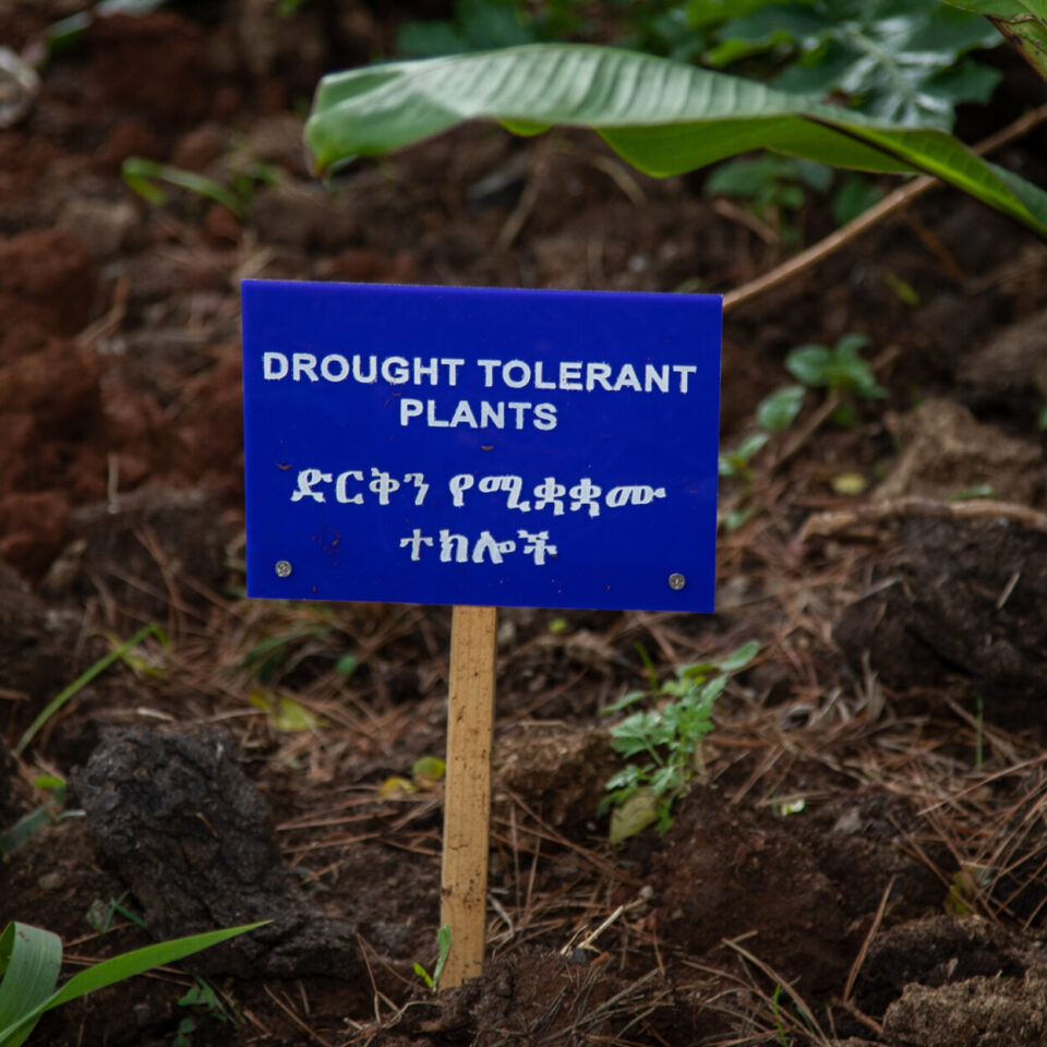 a blue sign with text which read drought tolerant plants