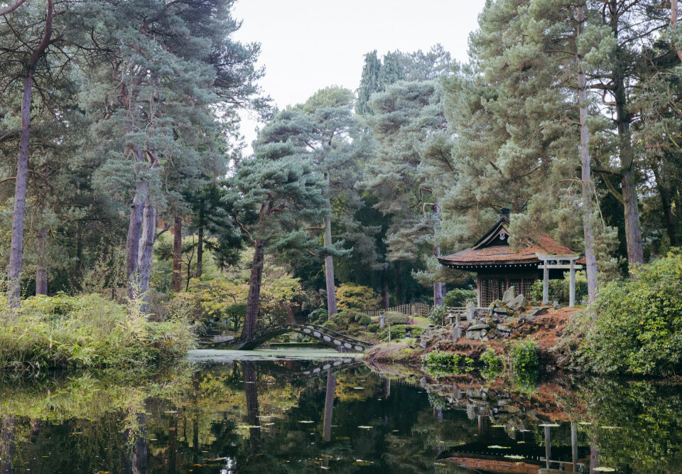 The Japanese Gardens in autumn at Tatton Park, Cheshire