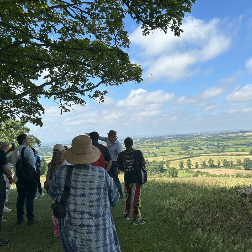 a group of people looking out over a sunny landscape from under the shade of a huge tree in full leaf