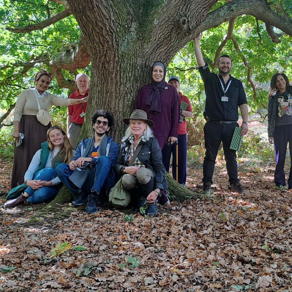a group of people standing underneath a huge tree, with brown leaves under foot and three people are touching the tree