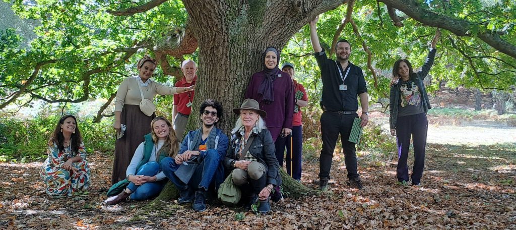a group of people standing underneath a huge tree, with brown leaves under foot and three people are touching the tree