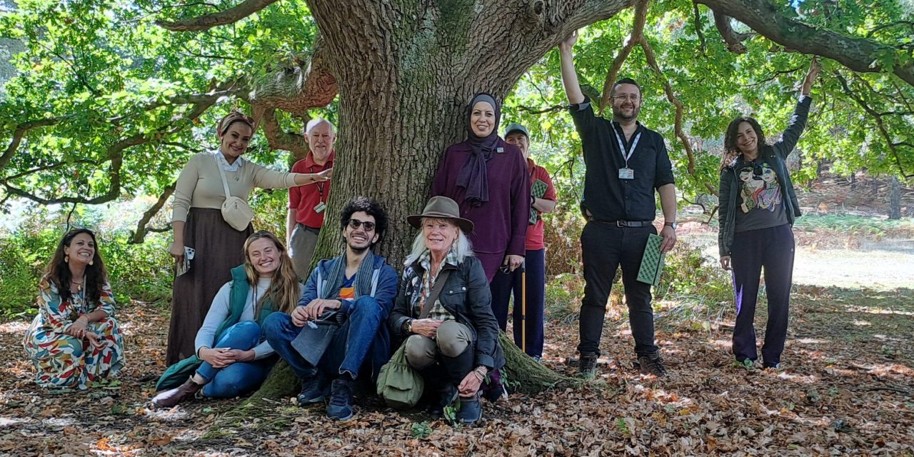 a group of people standing underneath a huge tree, with brown leaves under foot and three people are touching the tree