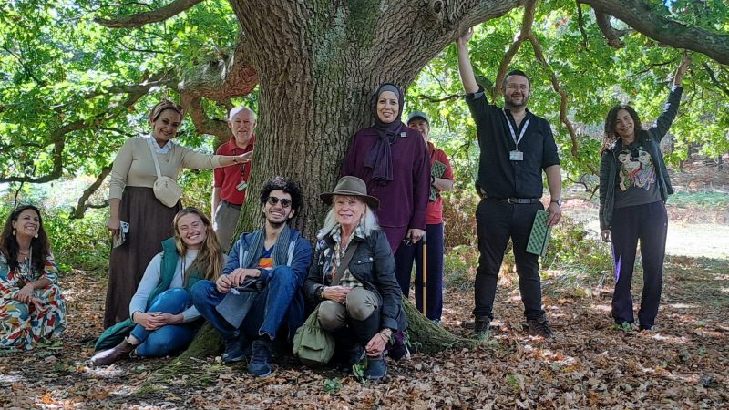 a group of people standing underneath a huge tree, with brown leaves under foot and three people are touching the tree