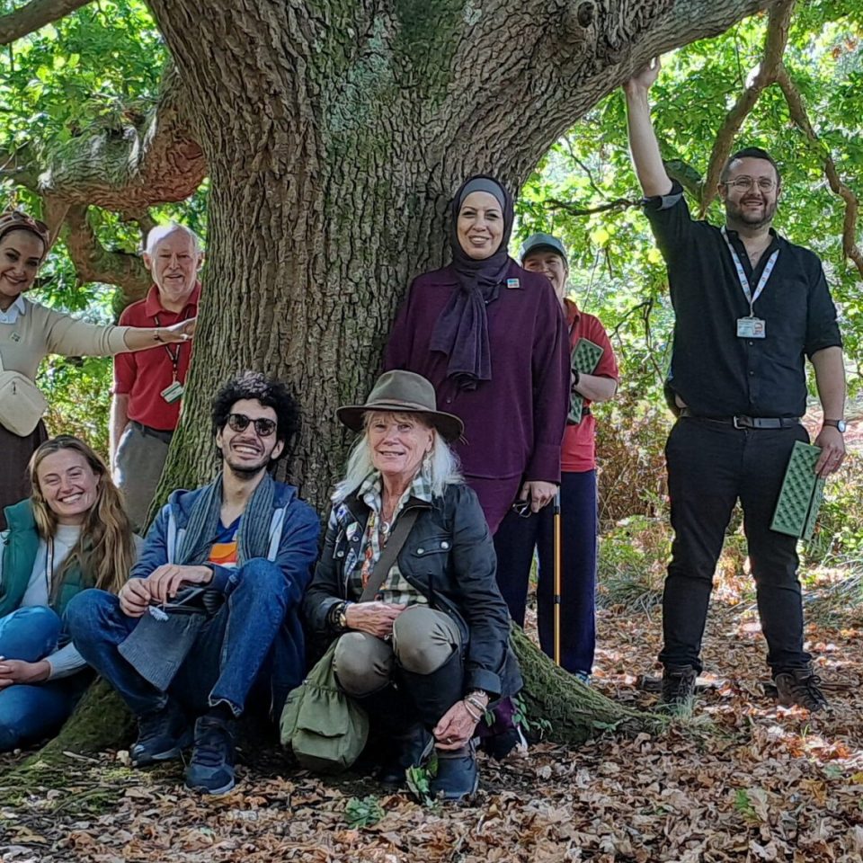 a group of people standing underneath a huge tree, with brown leaves under foot and three people are touching the tree