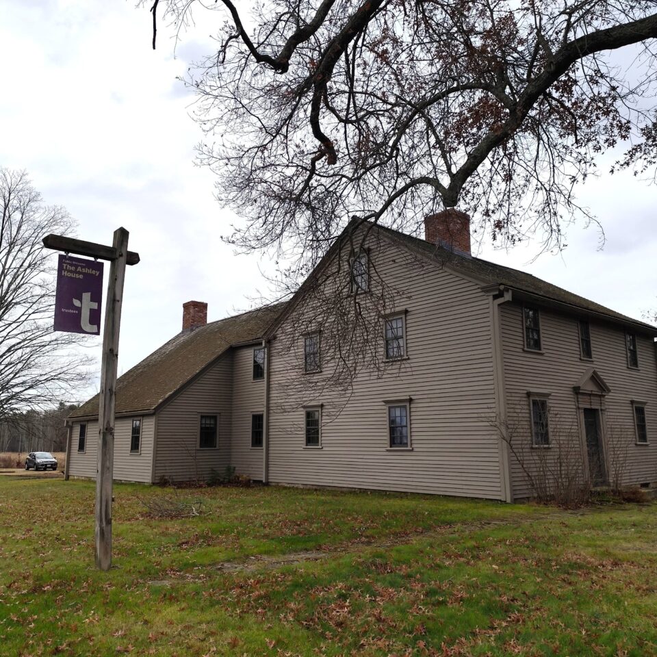 Ashley House landscape, the Trustees