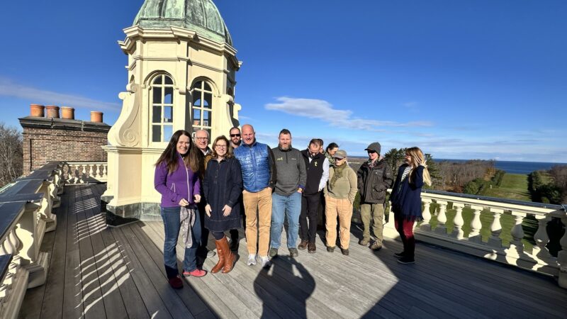 On the roof of Castle Hill, Trustees