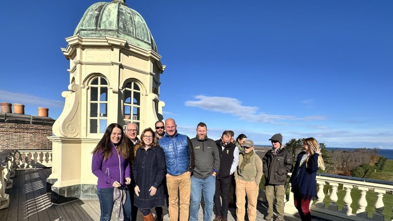 On the roof of Castle Hill, Trustees