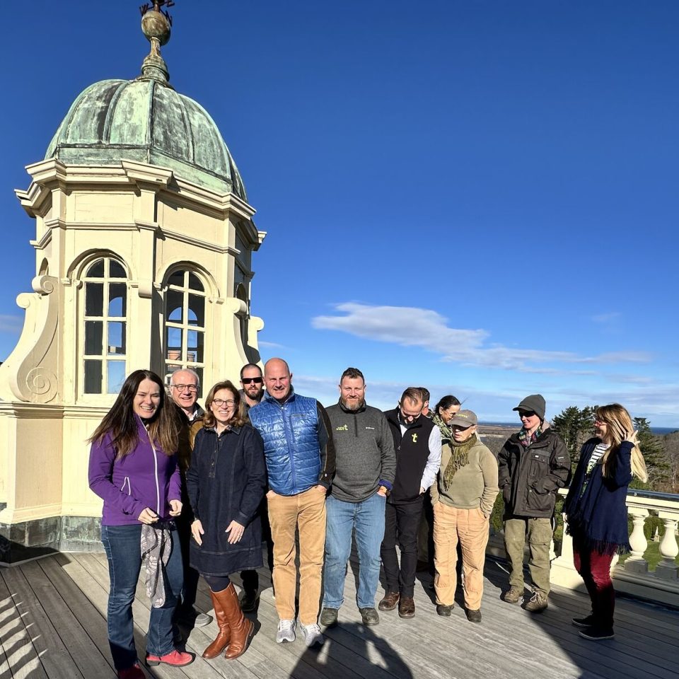 On the roof of Castle Hill, Trustees