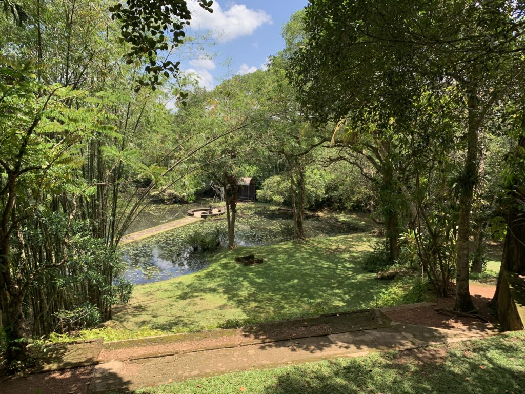 a view of a tropical garden with lush green trees and a pool of water