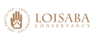 a gold coloured logo on a white background for the Loisaba conservancy
