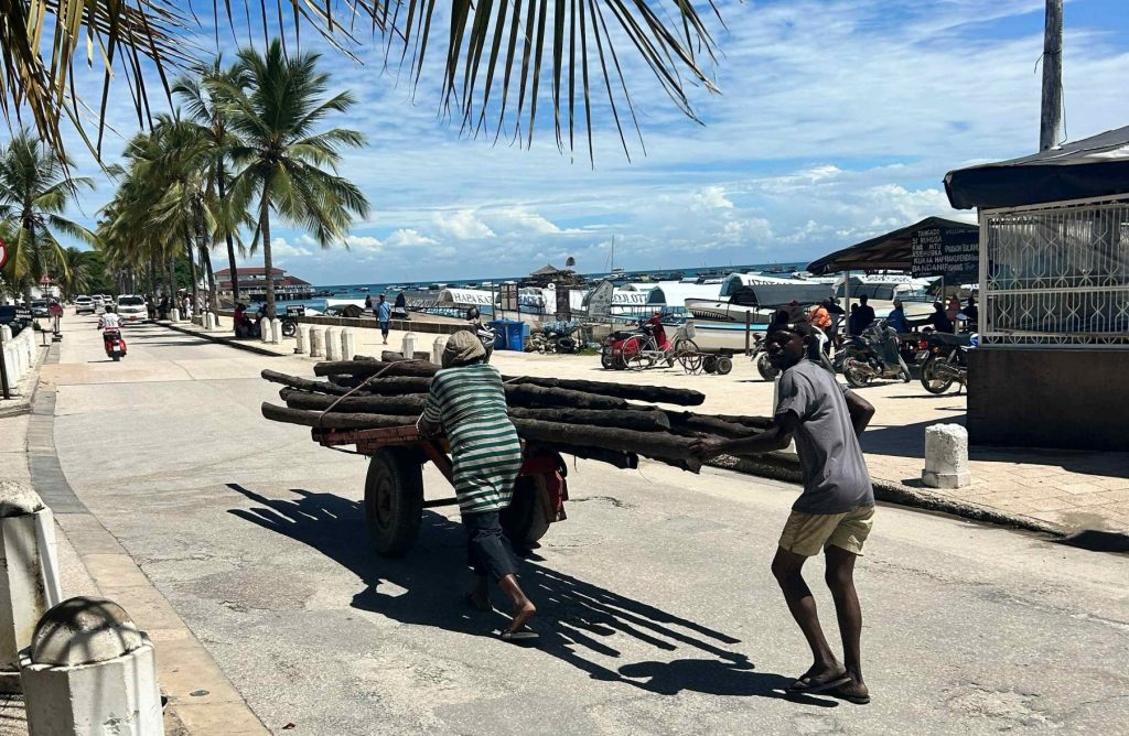 Workers pushing new boriti (mangrove poles) which are used in the roofs of traditional buildings in stone town.