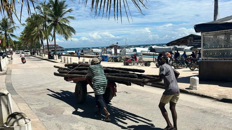 Workers pushing new boriti (mangrove poles) which are used in the roofs of traditional buildings in stone town.