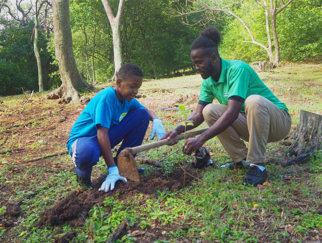 tree planting at Pigeon Island National Landmark
