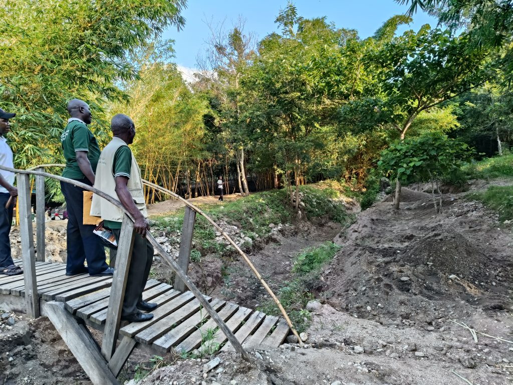 a hot spring site in Uganda with a low wooden bridge and lush green trees