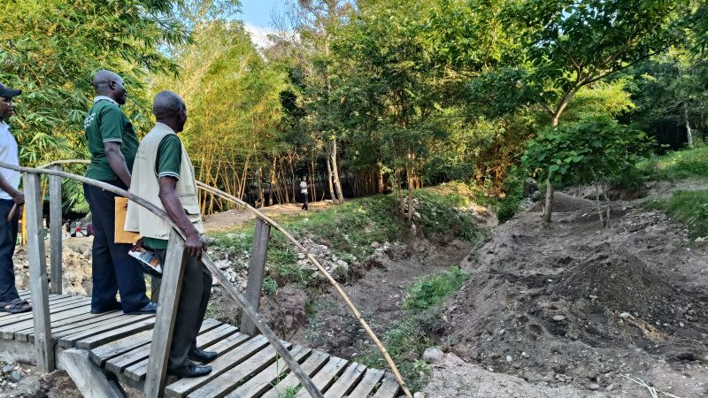 a hot spring site in Uganda with a low wooden bridge and lush green trees